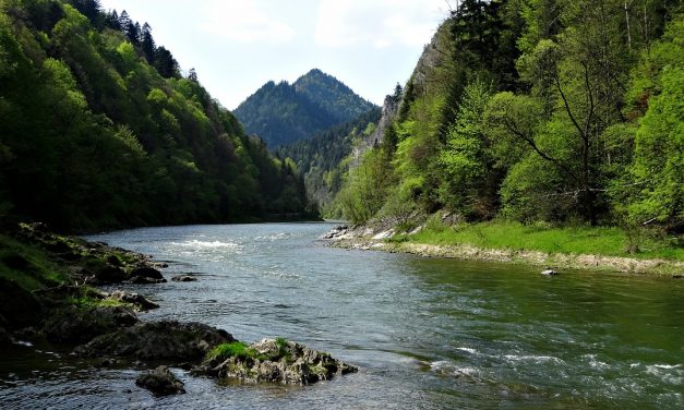 Spływ Dunajcem w Pieninach